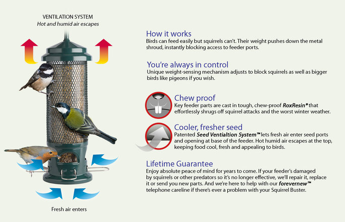 Spotlight On Squirrel Buster Tweetapedia Living With Birds